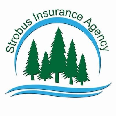 We specialize in personal insurance for the educational community. Ambassador for the Meemic Foundation, giving back to the educational community we serve.