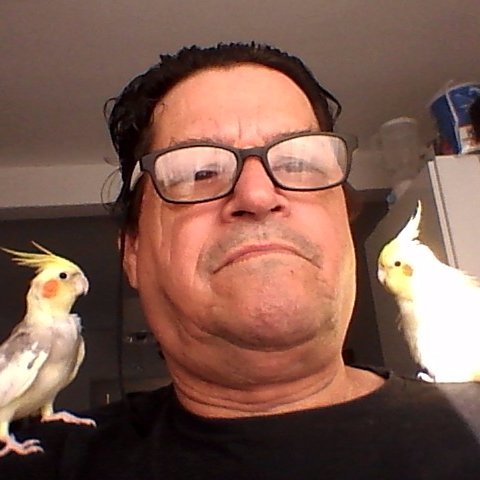 r29p03d52's profile picture. Quem me segue, será seguido!!!