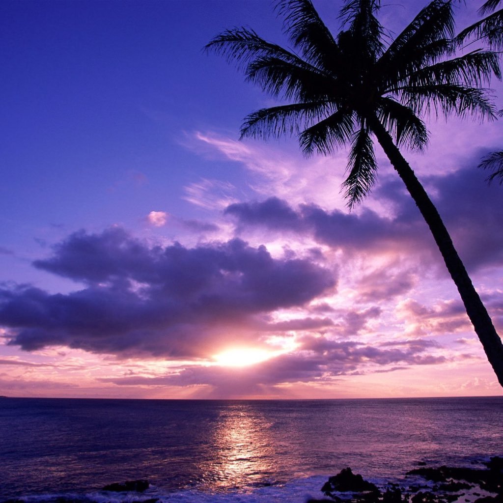 kaito2000551_55's profile picture. 