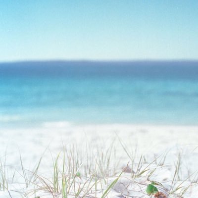 inforeaver's profile picture. 