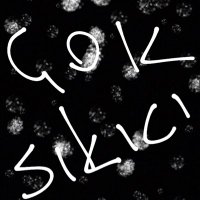 Dilan Erdoğan (@dilan_erdogan) 's Twitter Profile