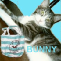 Janet Squires(@bunnybooboo407) 's Twitter Profile Photo