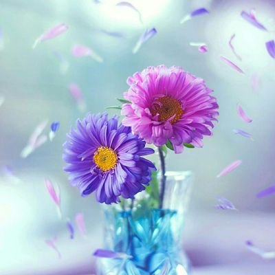 تويتر.. جريدة الصباح اليومية بالنسبة لي ..اقرأ وبصمت ..ورأيي لي 🙂
