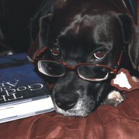 The Spine View (@thespineview) 's Twitter Profile