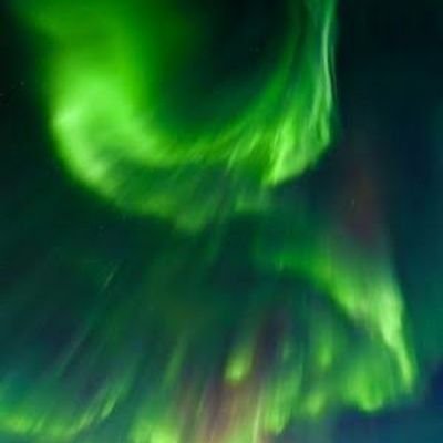 8b834a0f61af4dd's profile picture. 本当に助けが必要なら、私にメッセージを送ってフォローしてください