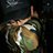 Profile Picture of Sebastian Aleman Zar (@aleman_zar) on Twitter