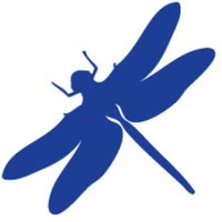 Dragonfly Screen Graphics (@dragonflysgi) 's Twitter Profile