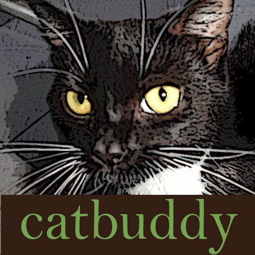 catbuddy