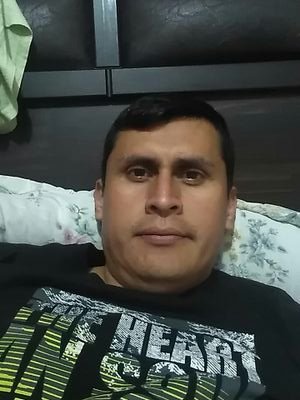 Alegre