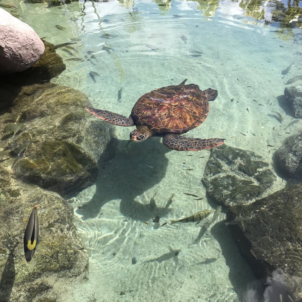 Tak64789813's profile picture. 兼業トレーダー。Fxは資産を増やすためのただの作業だと思う。