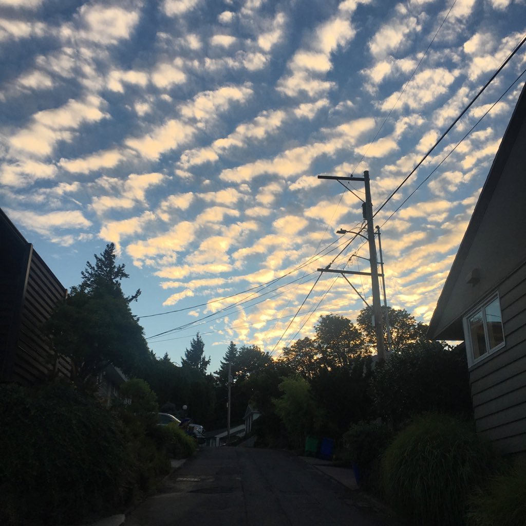 stbreen's profile picture. 〰 Music's got me feeling so free ➰Permanently on the bus