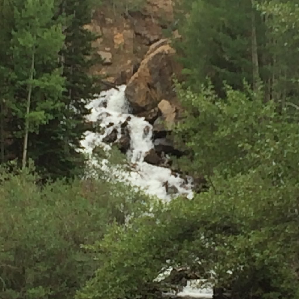 0331SemperFI's profile picture. 