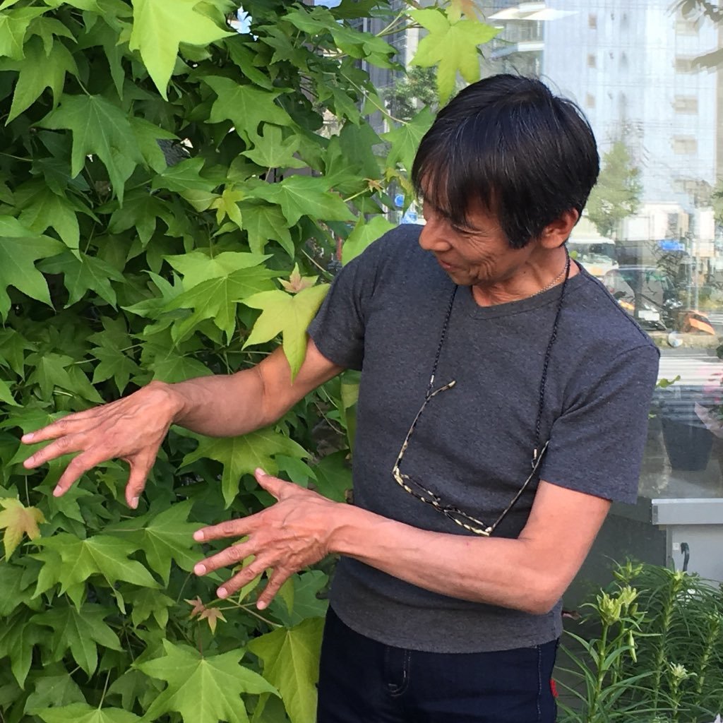 純天使ぱんさエルs B ハウスの中に蚊がいるので蚊取線香を焚こうとしたら 昨年から置いといた蚊取線香がナメクジにバリバリに食べられてる 除虫菊成分はナメクジ等にはなんの効果もなく 蚊取線香は美味しい食べ物