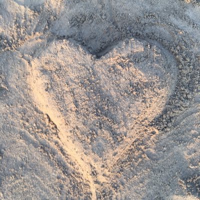 petrella_pam's profile picture. 