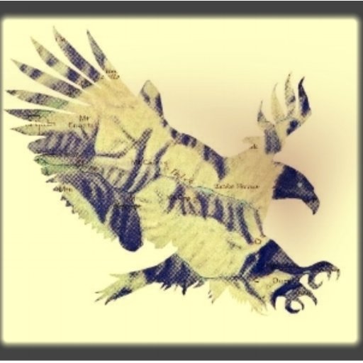 SpiritRepMap's profile picture. Data, analytics, and mapping.  These are the things that keep us up at night.  The power of information in the palm of your hand makes you unstoppable. SR is🔝s