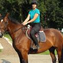 Kimberly Devries - @Highonhorses - Twitter