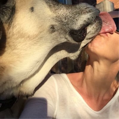 Crookk02's profile picture. 