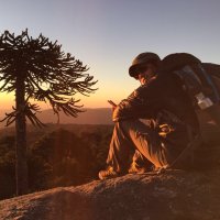 René Araneda (@renearaneda) 's Twitter Profile