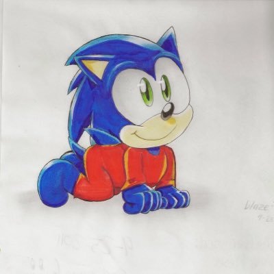 Huge Fan of Sonic the Hedgehog and have been a Sonic fan for 15 years