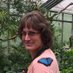 Wendy Bingham, DPT (@xtranotrare) Twitter profile photo Wendy Bingham, DPT (@xtranotrare) Twitter profile photo