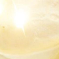 bigmantyrone12's profile picture. Unfunny and

Says xd to much xddddd