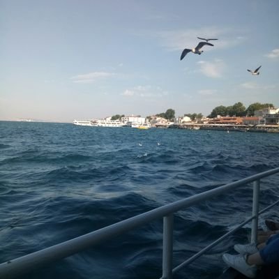 satyuute's profile picture. pintor, fotógrafo, Gerente General, Experto en moda, Productor de 🎥