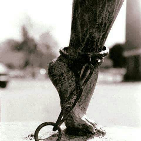 Baghi_Walo's profile picture. Tomorrow Never Comes