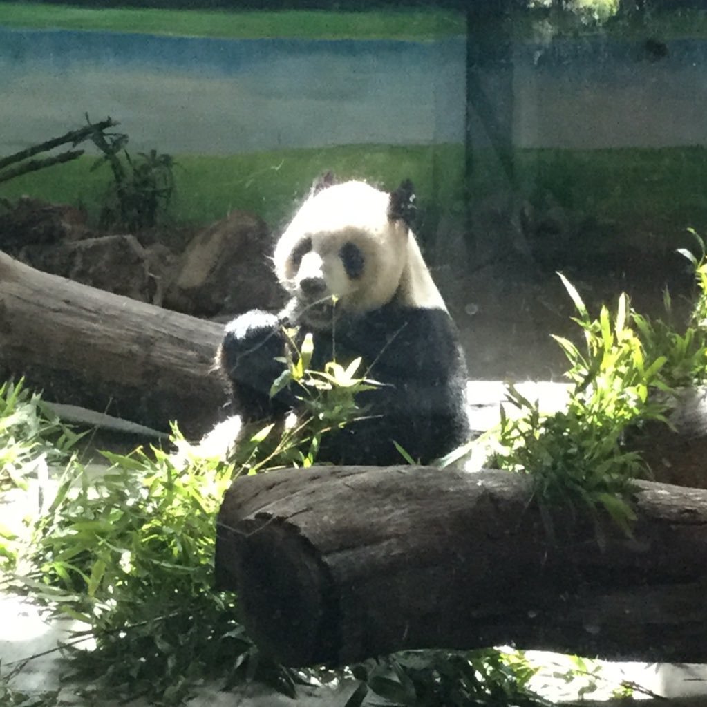 ただいま育児に奮闘中。食べること、コスメ、旅行、映画鑑賞大好き。 サンキュ公式ブロガーです。https://t.co/Rn2SAaKLAC     @コスメ クチコミは300件 https://t.co/4Yhyk7kop6 。