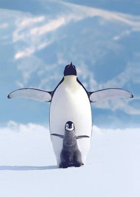 MO_NT_'s profile picture. 20⬆️ 구독계입니다