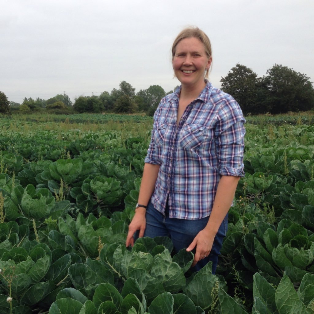 Sarah Green's Organics grows Seasonal, Soil Association certified, Organic Vegetables for sale in London and Essex.