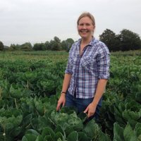 Sarah Green Organics(@Sally4Green) 's Twitter Profile Photo