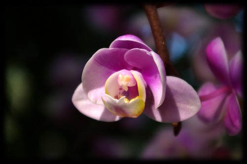 jeoneung's profile picture. Travel is fatal to prejudice.