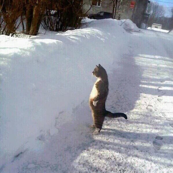 nagi093021's profile picture. 