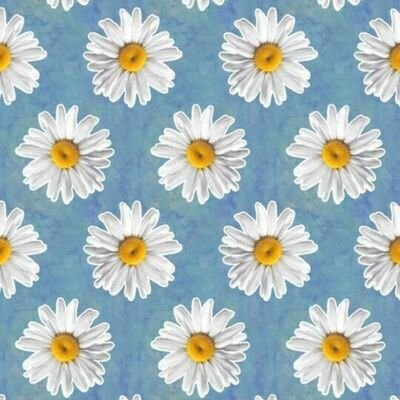 margaclari's profile picture. 