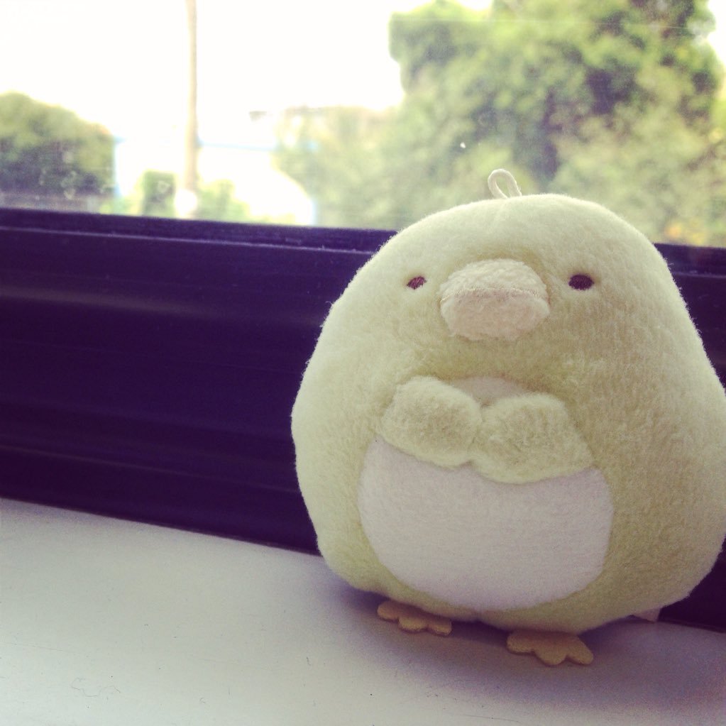 CHIKIRI☁️🍃さんのプロフィール画像