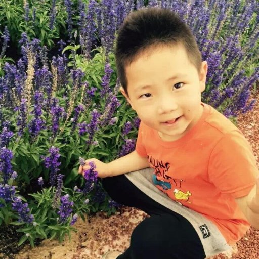 congweishan's profile picture. Good artists copy Gread artists steal✊🛠️