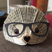 Susan Reed (@sureed67) 's Twitter Profile