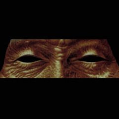 xas2win's profile picture. ⚙️