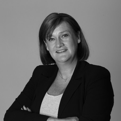 maudbokkerink's profile picture. AML/CFT, sanctions, supervision, FIU, FATF, WWFT, integrity, technical assistance, bokkerink compliance international
