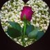 سالب صنعاء (@ckkogrvuwt24iem) Twitter profile photo سالب صنعاء (@ckkogrvuwt24iem) Twitter profile photo