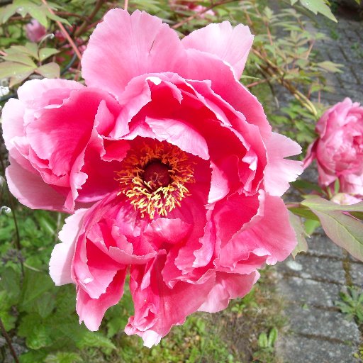 JustThis44's profile picture. 