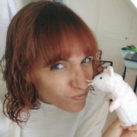 Yol (@yollipopp) 's Twitter Profile