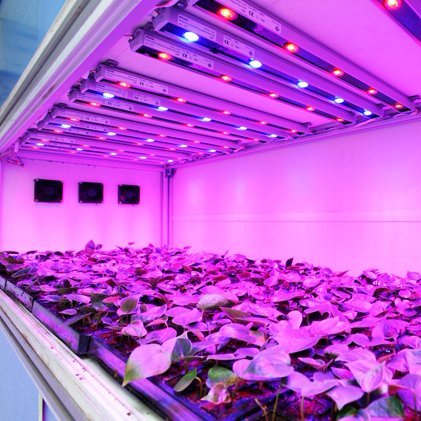 420lightguide is the official twitter for https://t.co/8x897llE9x. Providing you quality reviews of grow lights and guides on how to best grow marijuana