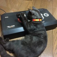 さとverson (@satoverson) 's Twitter Profile
