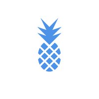 Ananas Foundation (@ana_anacoin) 's Twitter Profile