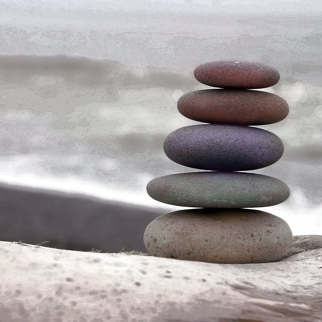 transitionstudy's profile picture. Suffolk University Students: Learn Stress management and Meditation practices for adjusting to the first-year of college.