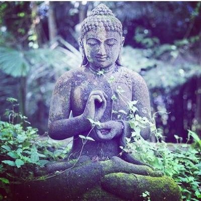 All about #budism #budismo #buda #buddha #nature #healthy #namaste