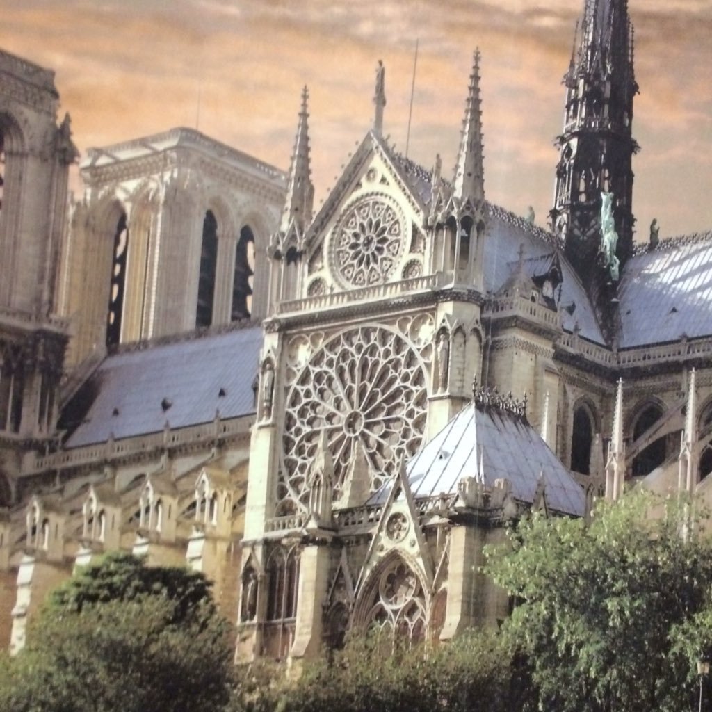 5nhX3wzoCSgFIbd's profile picture. 