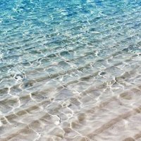 Francine_OT (@francin77761341) 's Twitter Profile