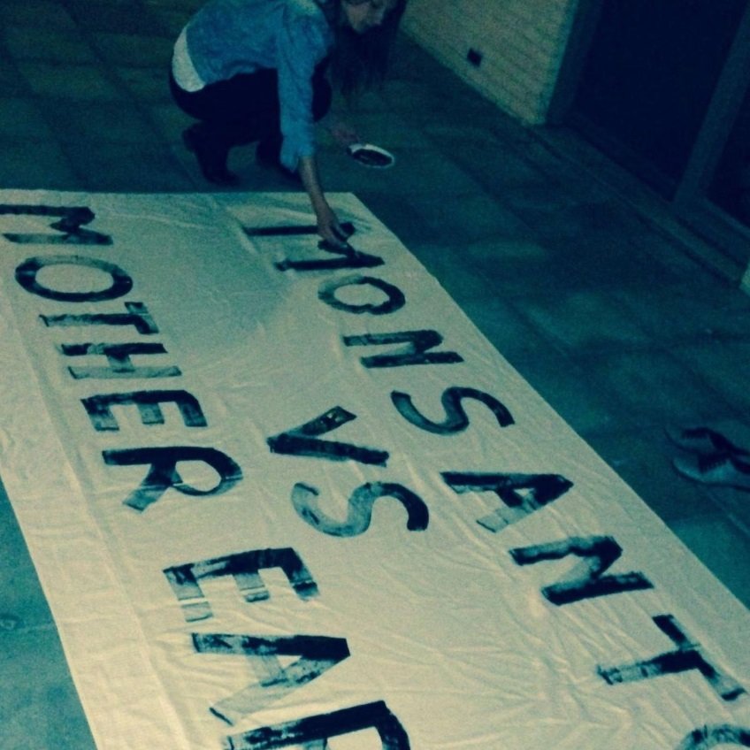 shannon73247542's profile picture. c